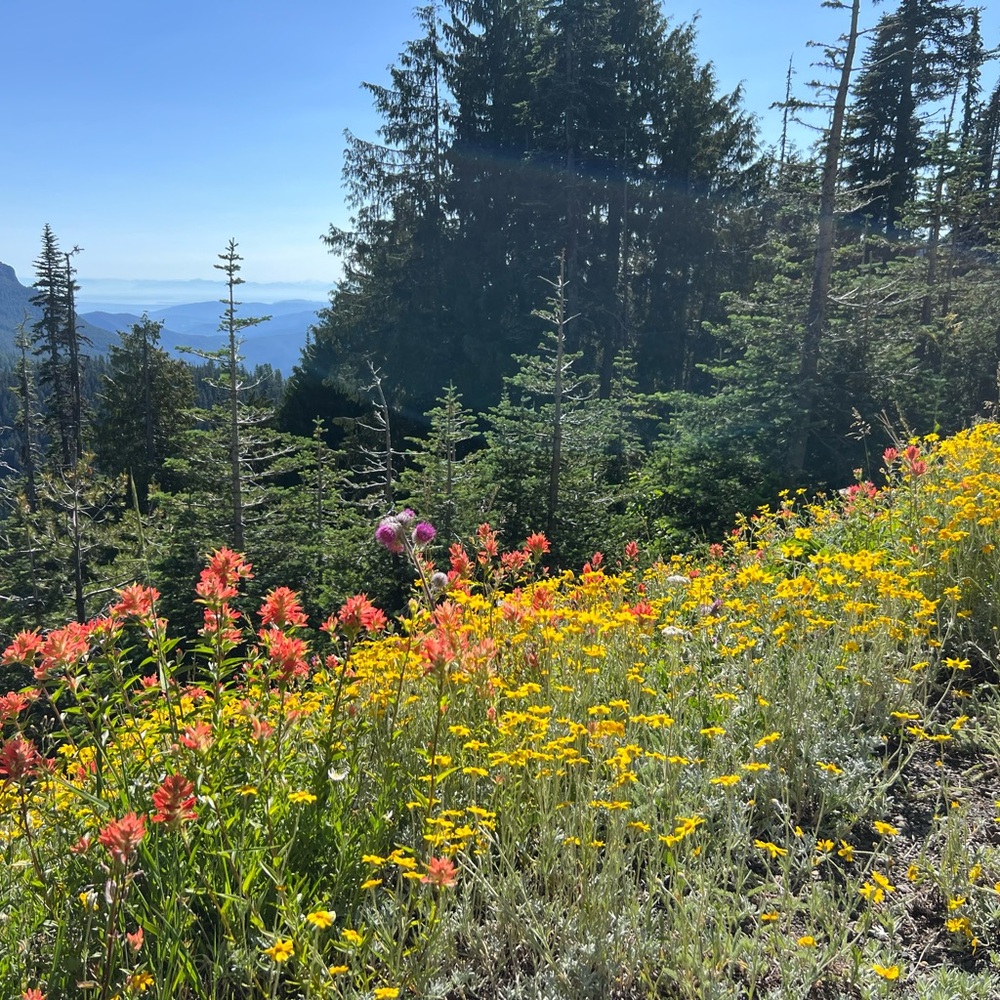 Meet your Posher, Stefanie